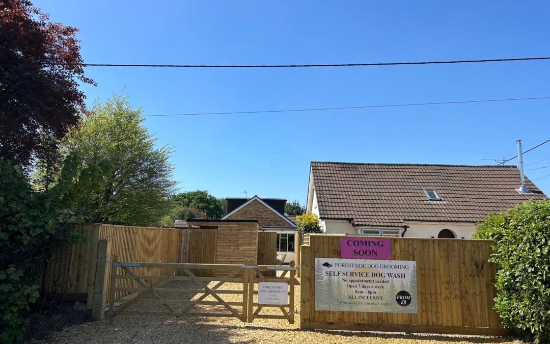 Closeboard Fencing & Gates – Holbury